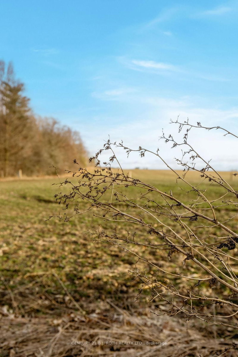 LT 14 9th Line, Innisfil, L9S 3Z3 | Image 3