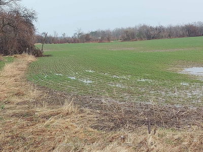PART OF LOT 1 HIGHWAY 27, Innisfil - Rural Innisfil image-0-3