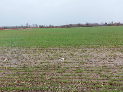 PART OF LOT 1 HIGHWAY 27, Innisfil - Rural Innisfil image-0-4