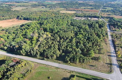 6055 5th Line, New Tecumseth - Rural New Tecumseth image-0-4
