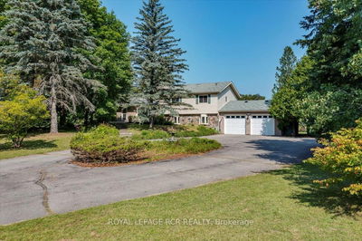 3990 Mount Albert Rd, East Gwillimbury - Rural East Gwillimbury image-0-4