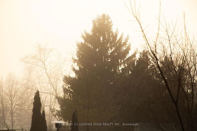 165 Stephenson Cres, Richmond Hill - Crosby image-0-4