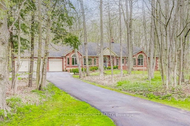 5 Forest Trail