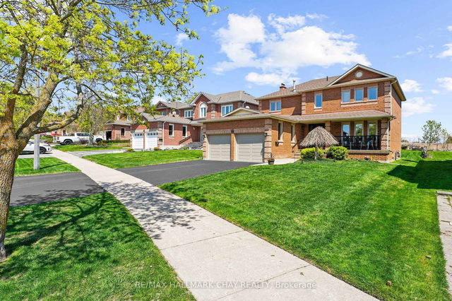 81 Tulip Street
