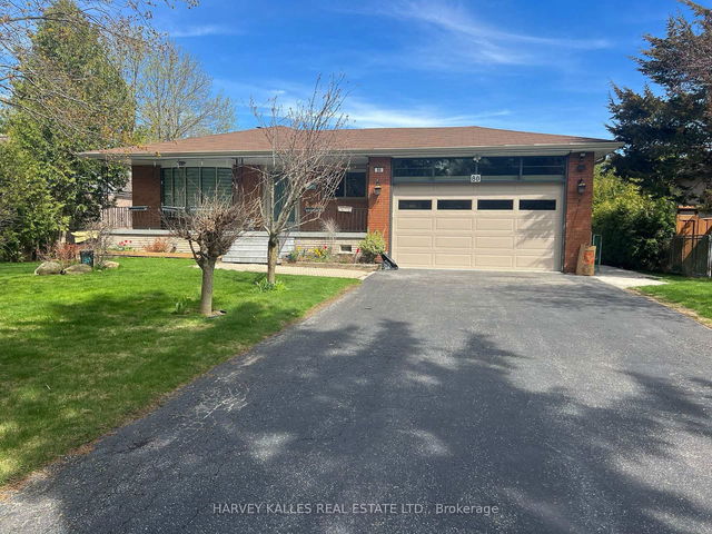 Basement - 80 Maple Grove Avenue