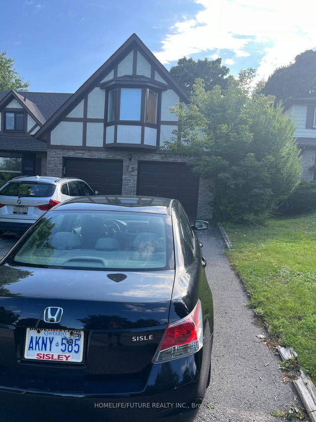 Bsmt - 75 Hamilton Drive