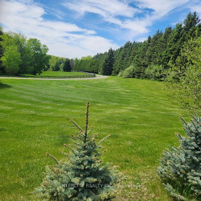 15600 7th Concession Rd, King - Pottageville image-0-4