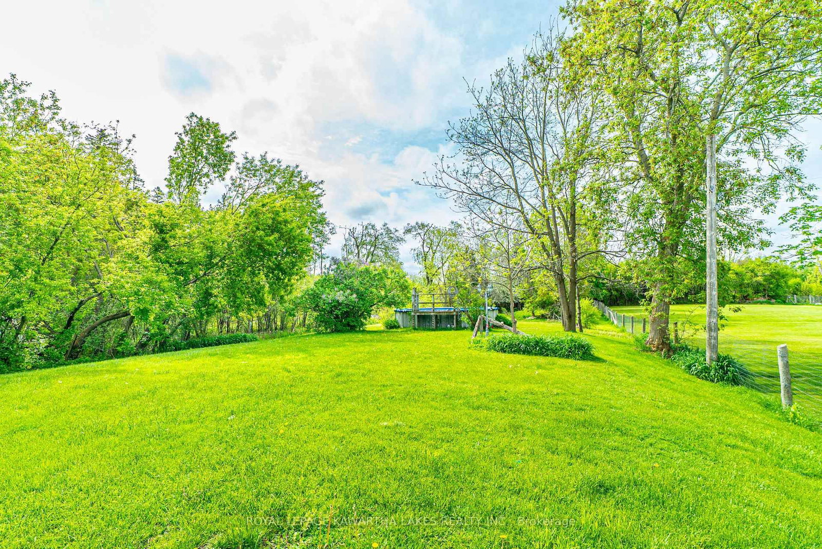 Detached House for sale at 265 Cameron Street, Brock, Ontario, L0E 1E0 - Cannington - MLS: N12165261