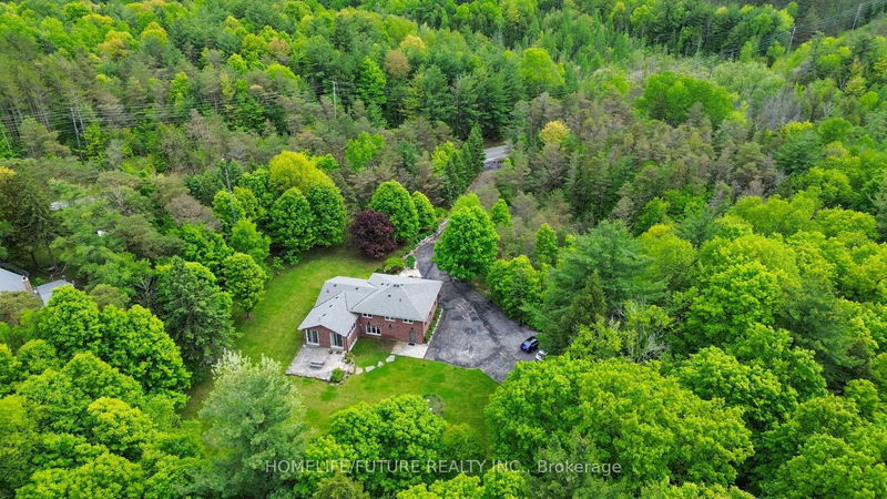 5556 Vivian Rd, Whitchurch-Stouffville - Rural Whitchurch-Stouffville image-0-0