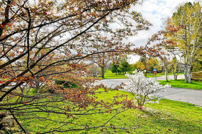 940 Wildwood Dr, Newmarket - Gorham-College Manor image-0-1
