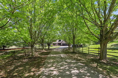 16455 11th Concession, King - Schomberg image-0-1