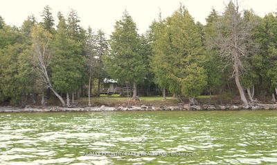 B40440 Shore Rd, Brock - Rural Brock image-0-1