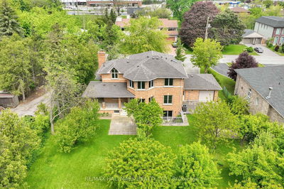 19 Hillside Ave, Vaughan - Concord image-0-1