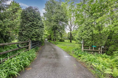 55 Old Church Rd, King - Rural King