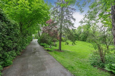 55 Old Church Rd, King - Rural King image-0-3