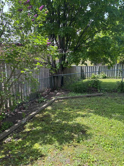 35 Delmark Blvd, Markham - Sherwood-Amberglen image-0-3