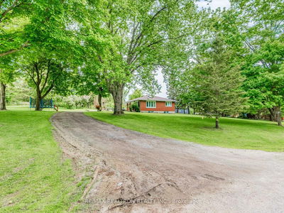 6041 3rd Line, New Tecumseth - Rural New Tecumseth image-0-4