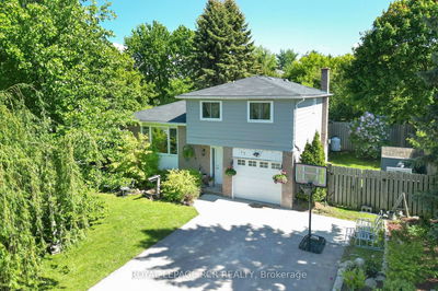17 Jamieson Dr, Adjala-Tosorontio - Rosemont image-0-2
