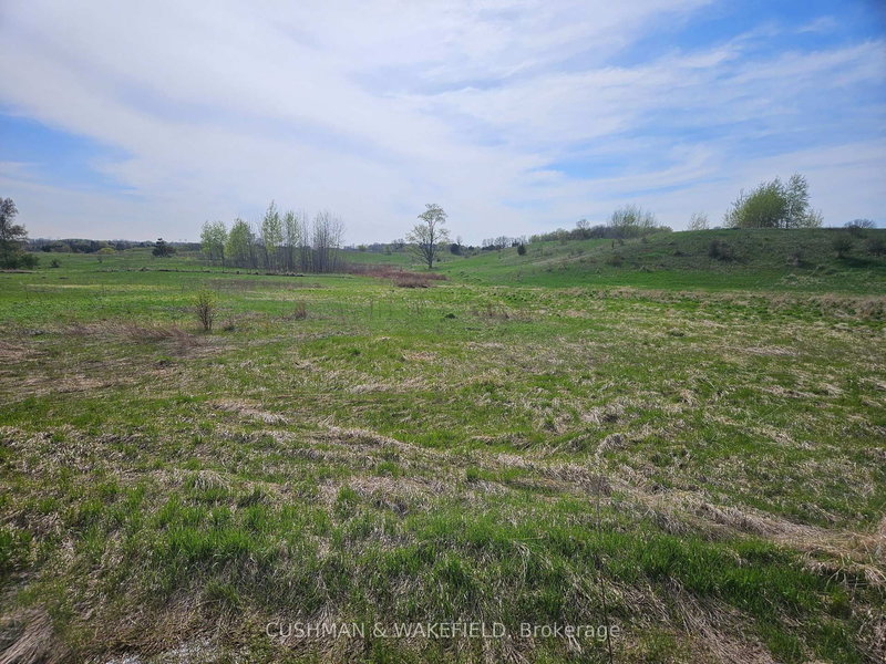 1052 Sideroad 20, New Tecumseth, L0G 1T0 | Image 3