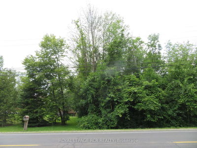 Lot 24 Park Rd, Georgina - Sutton & Jackson's Point image-0-1