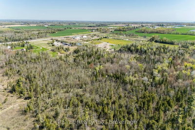 2513 Innisfil Beach Rd, Innisfil - Rural Innisfil image-0-4