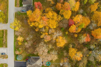 909C Willow St, Innisfil - Lefroy image-0-2