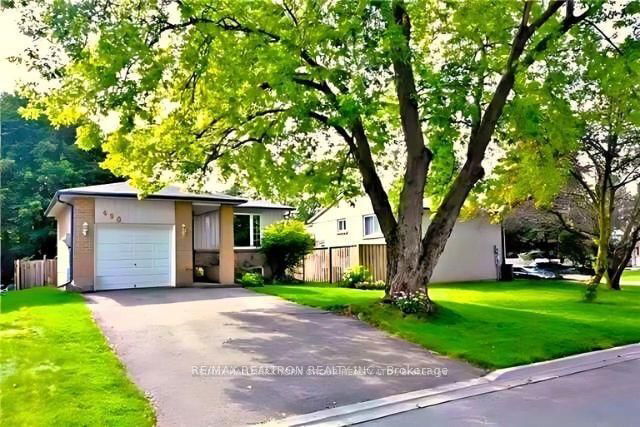 Basemen - 490 Dixon Boulevard