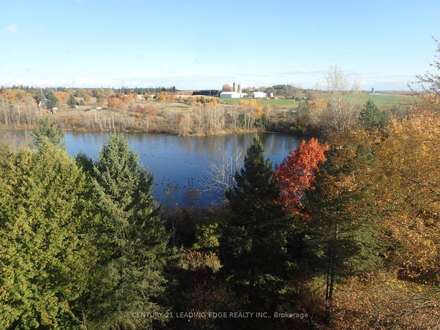 3536 Bloomington Road