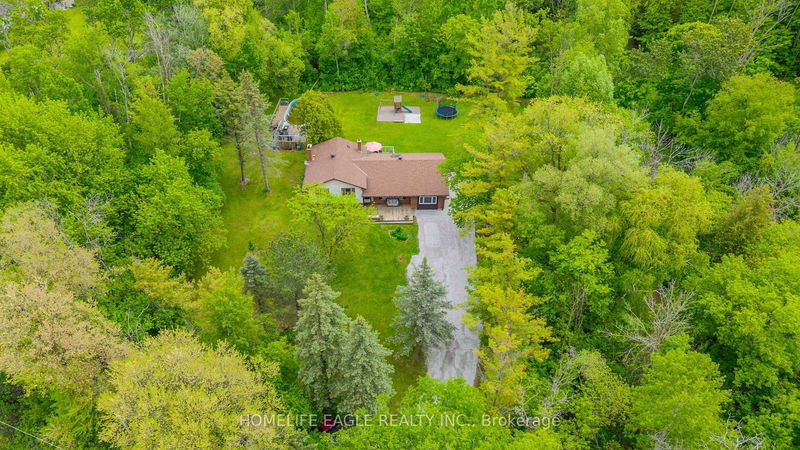 19341 Bathurst St, East Gwillimbury - Rural East Gwillimbury image-0-0