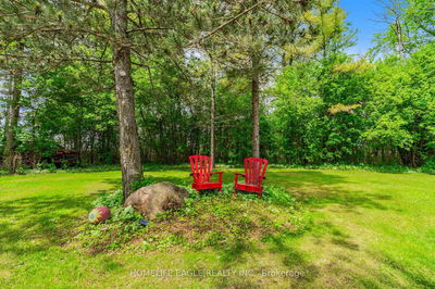 19341 Bathurst St, East Gwillimbury - Rural East Gwillimbury image-0-3