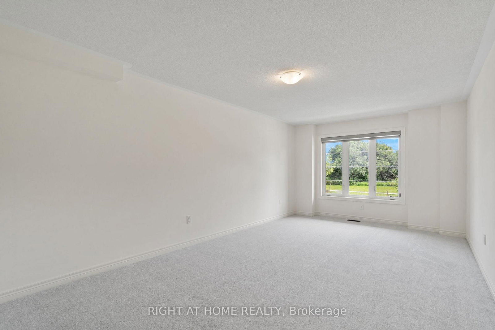 18 Mcalister Avenue - Photo 17