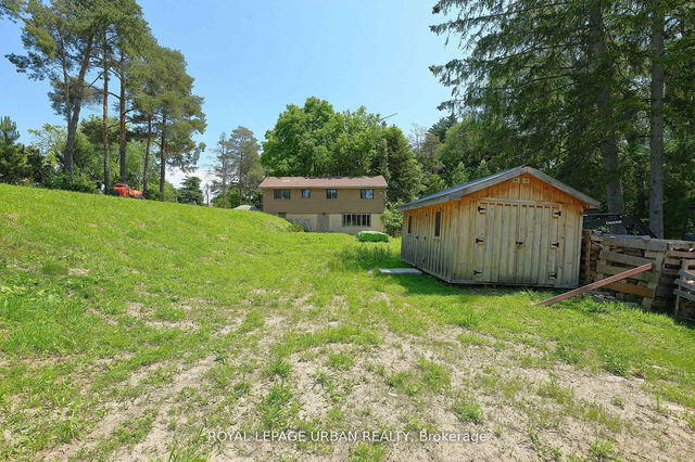 7 Birch Avenue