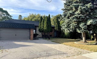 Basement - 126 Palmer Avenue
