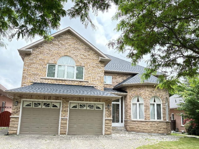 29 HANS Drive