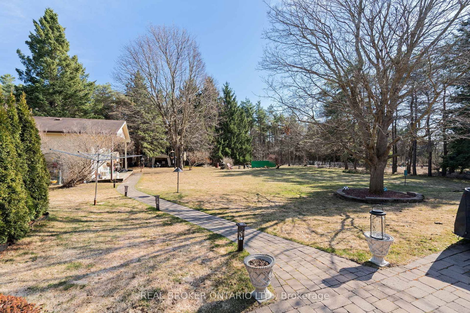 Listing Image 4