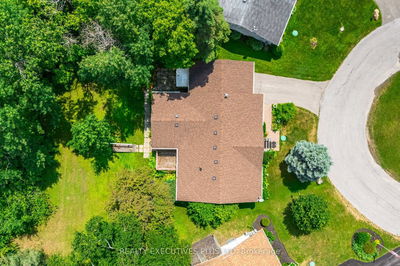 5 Pineview Crt, New Tecumseth - Rural New Tecumseth image-0-1
