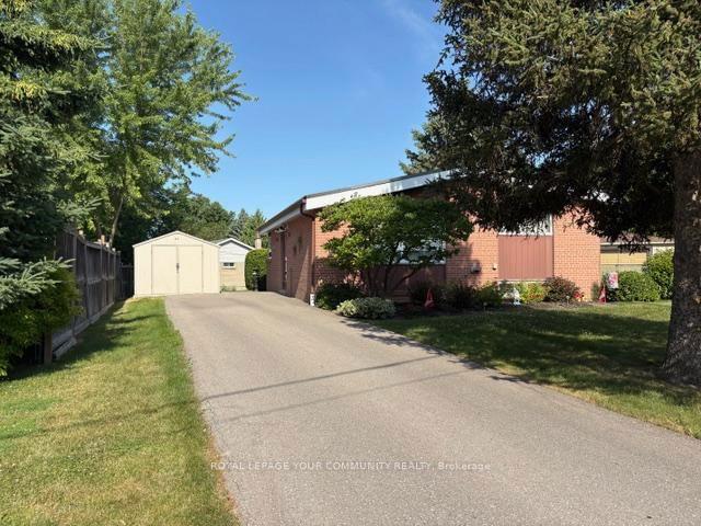 41 Knowles Crescent