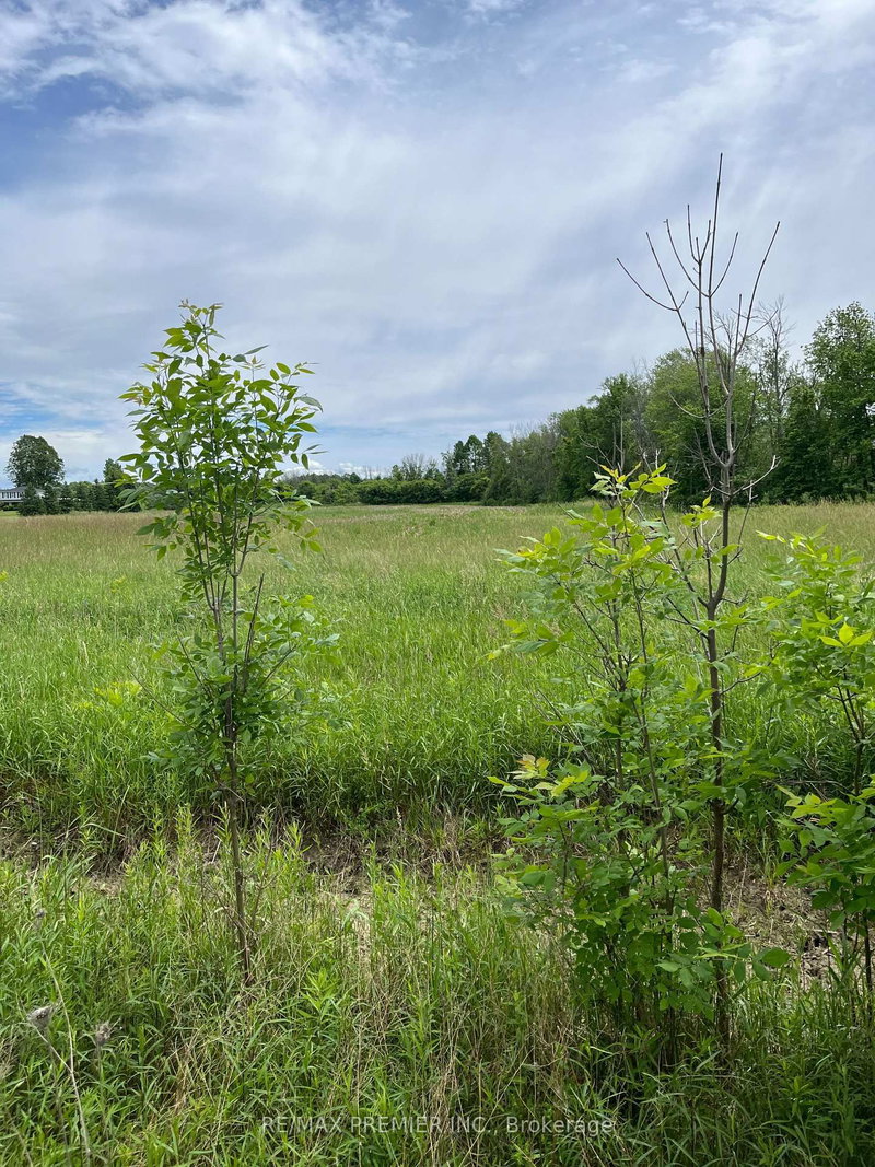 N/A Highway 48, Georgina, L0E 1N0 | Image 3