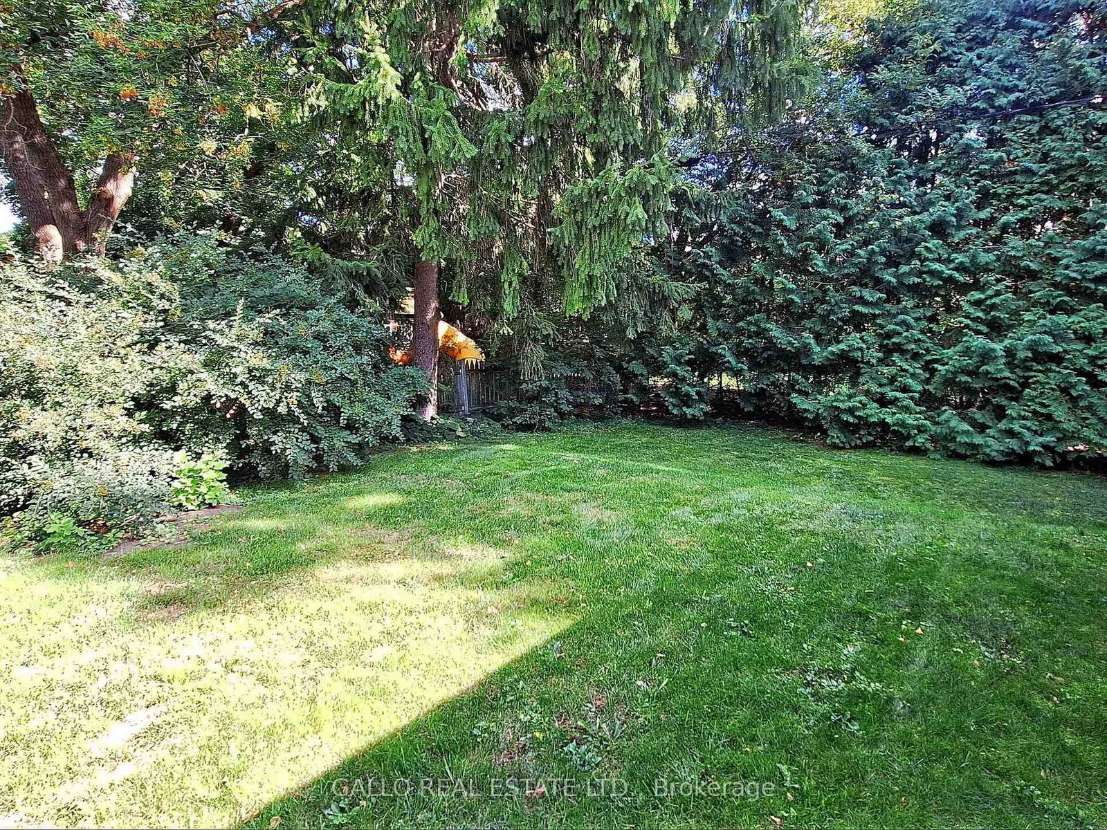 Listing Image 34