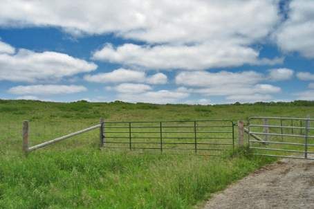 13680 Jane St, King, L0G1J0 | Image 3