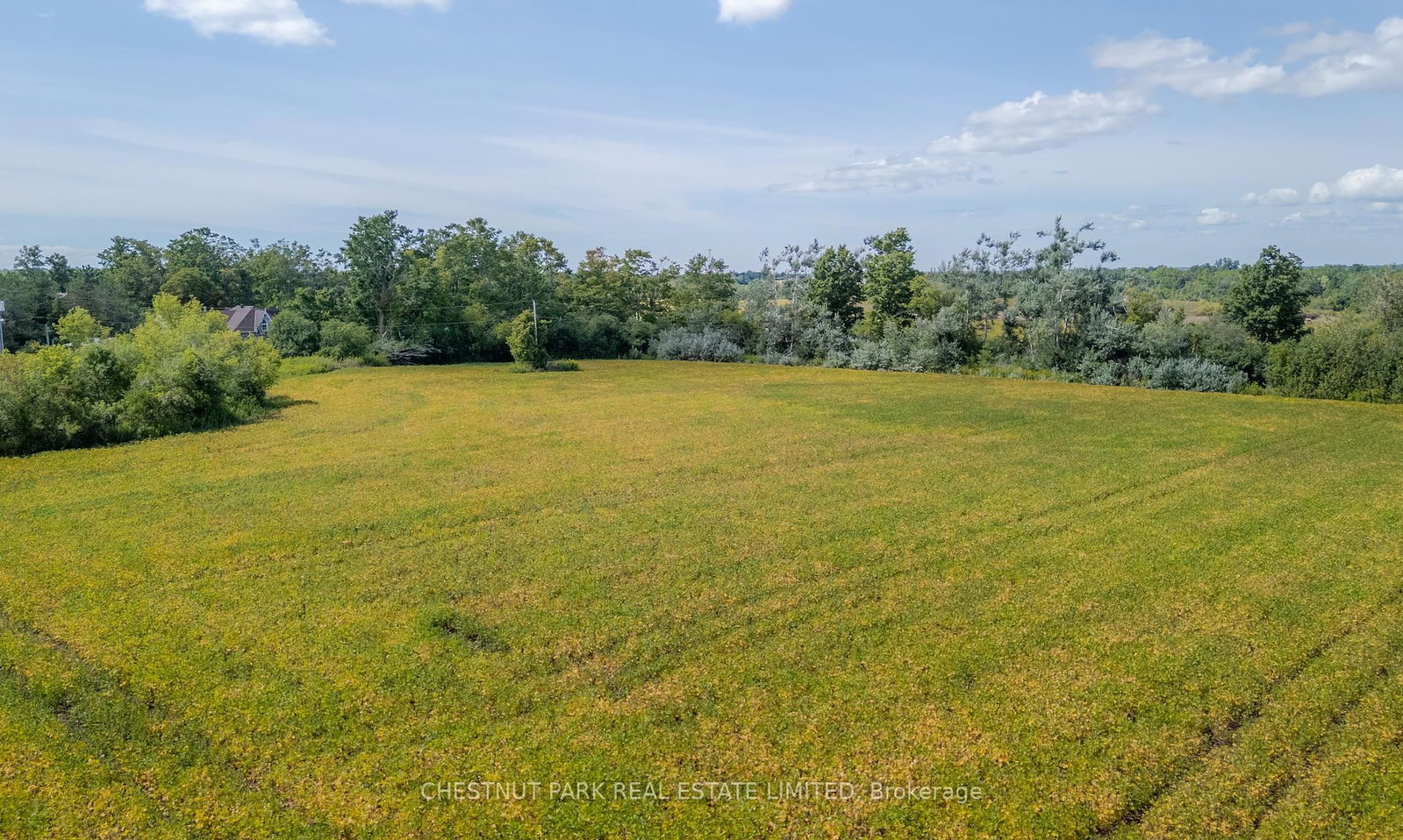Listing Image 46