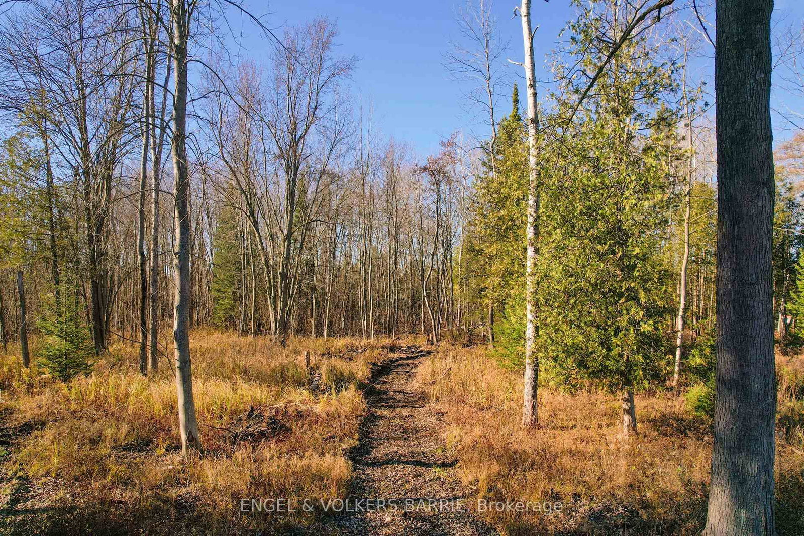Listing Image 36