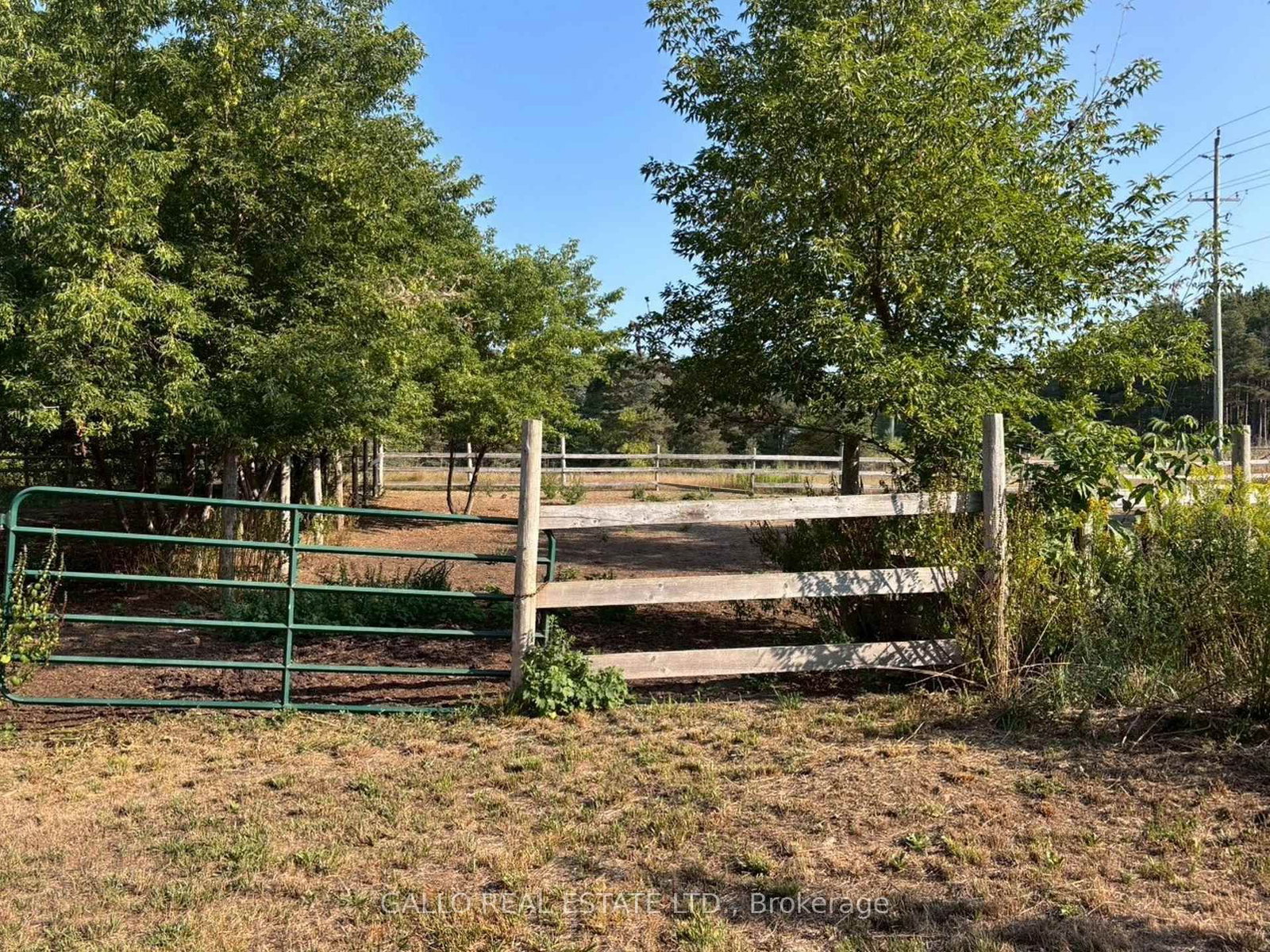 Listing Image 11