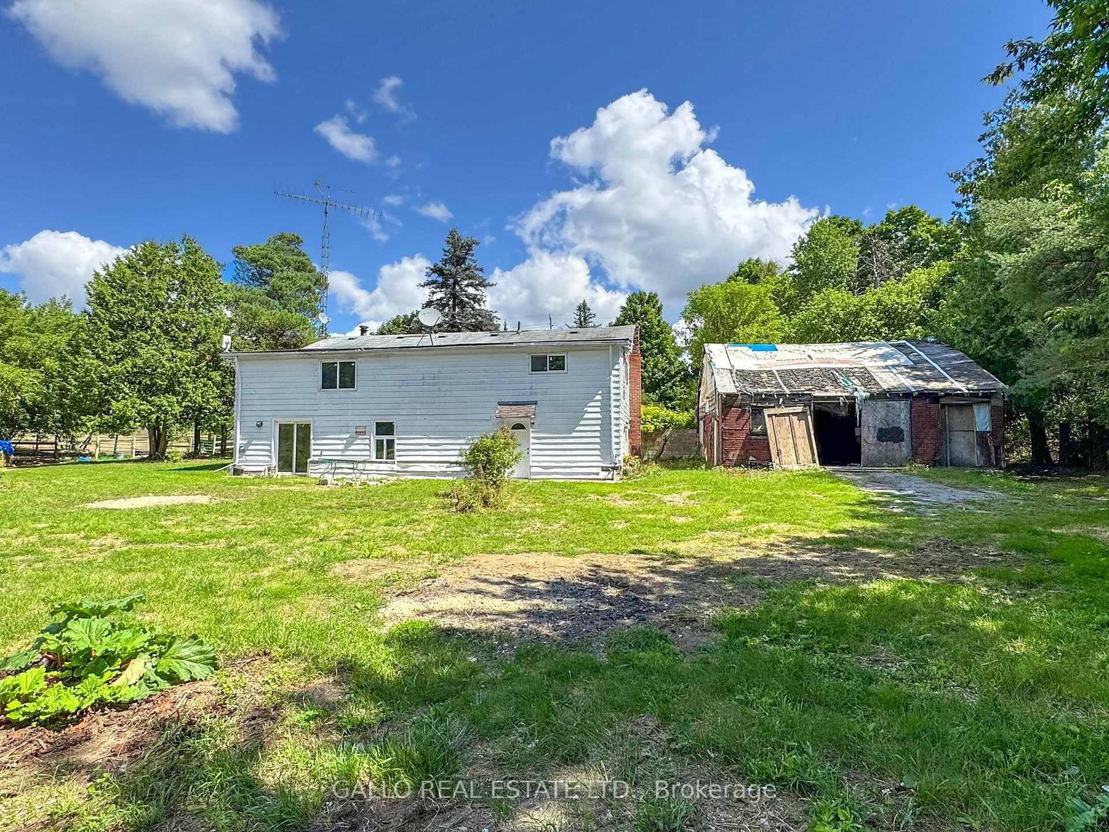 Listing Image 16