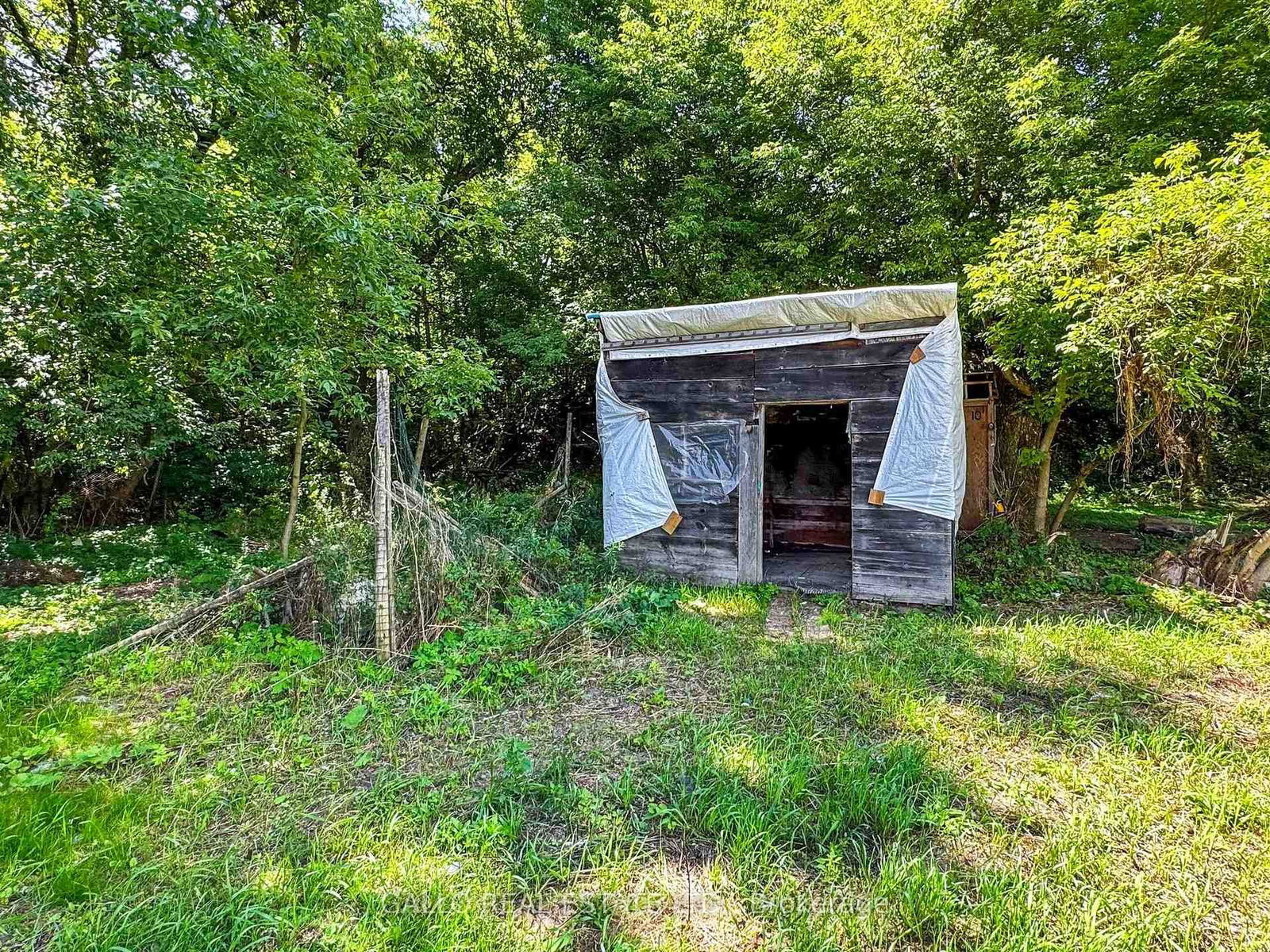 Listing Image 22
