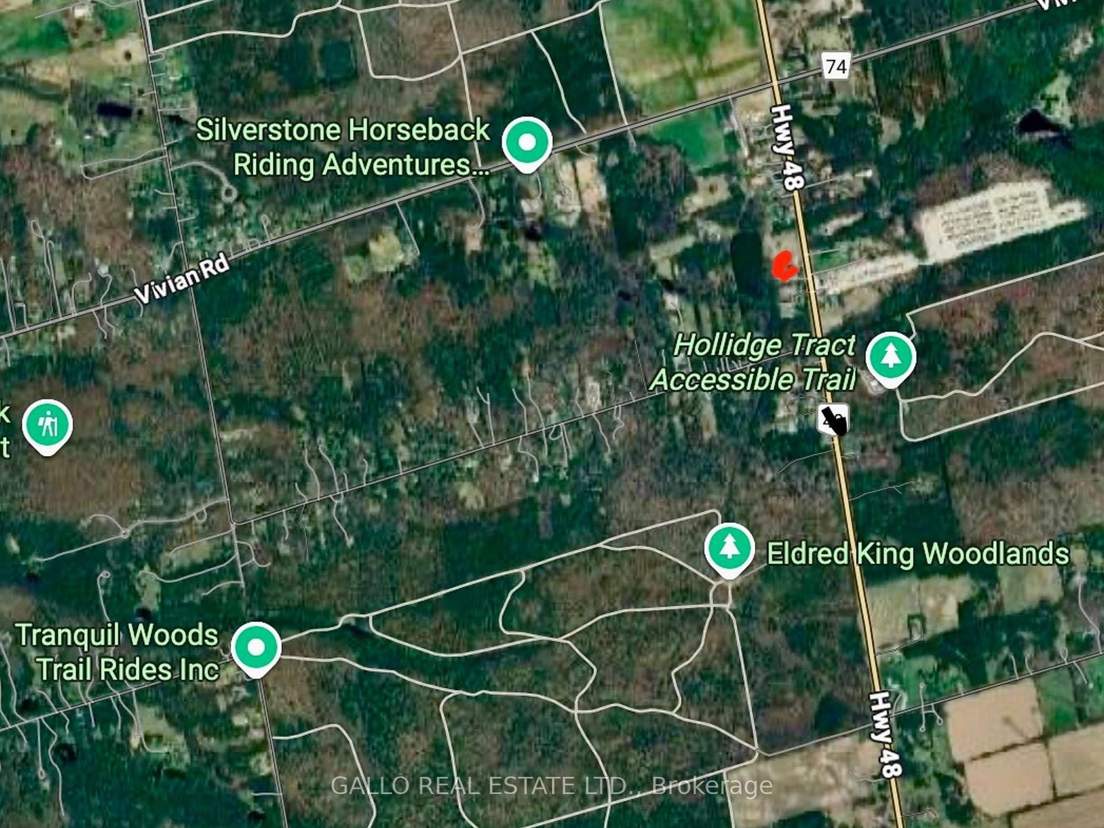 Listing Image 7