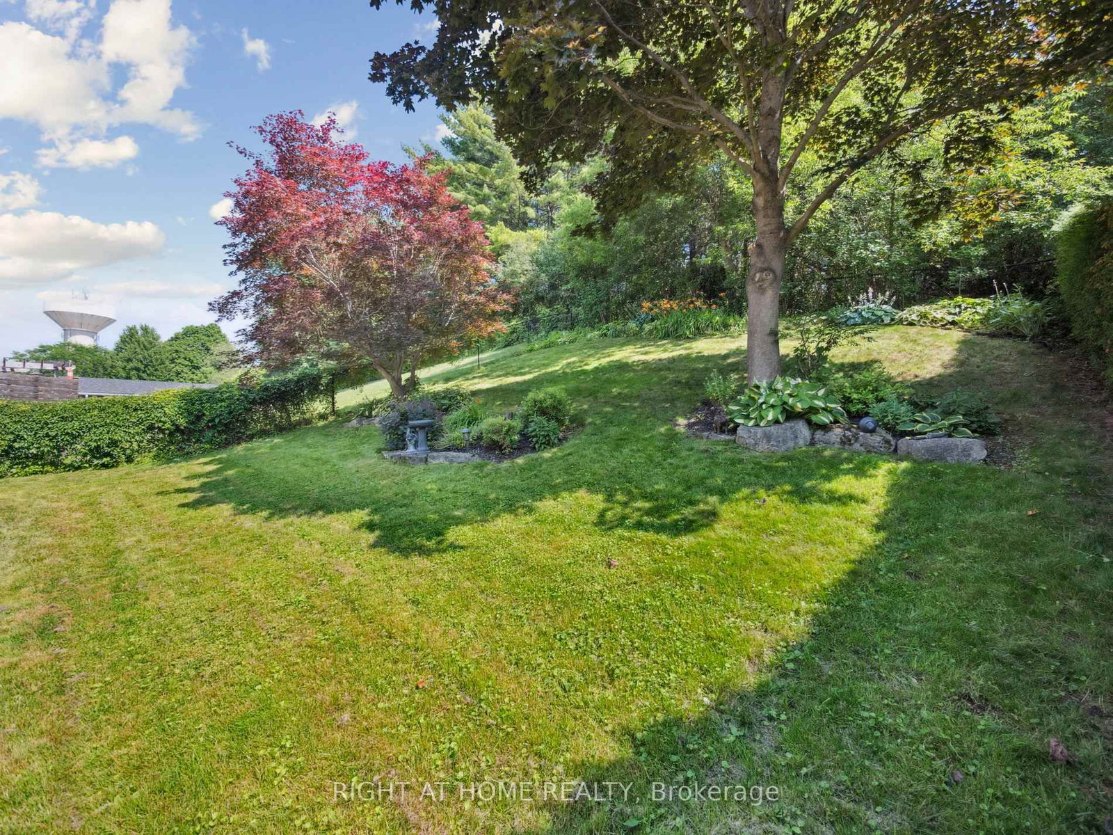 Listing Image 39