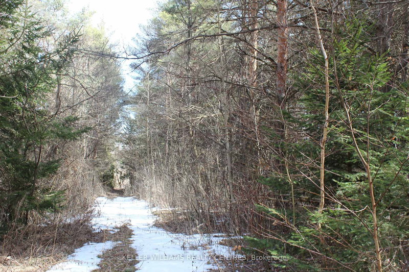 TBA Concession Rd 2, Uxbridge, L9P 0H2 | Image 2