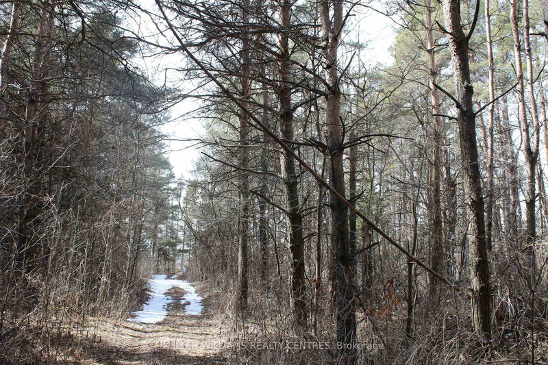 TBA Concession Rd 2, Uxbridge, L9P 0H2 | Image 3