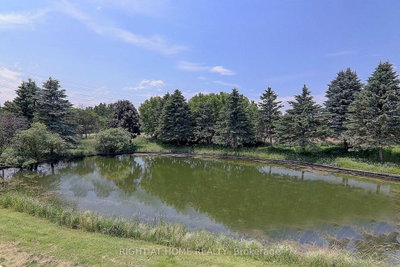1008 Mount Albert Road — photo 3
